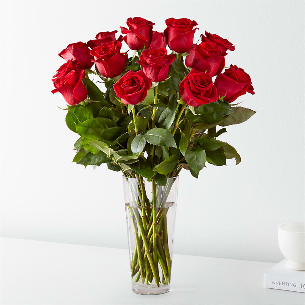 Long Stem Red Rose Bouquet – Emotional Bonding, Niles IL