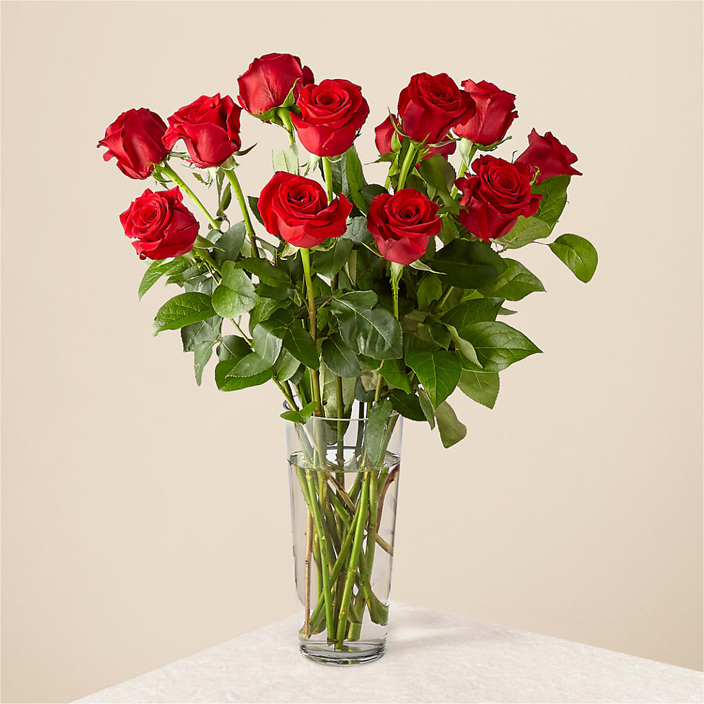 Long Stem Red Rose Bouquet – Emotional Bonding, Niles IL