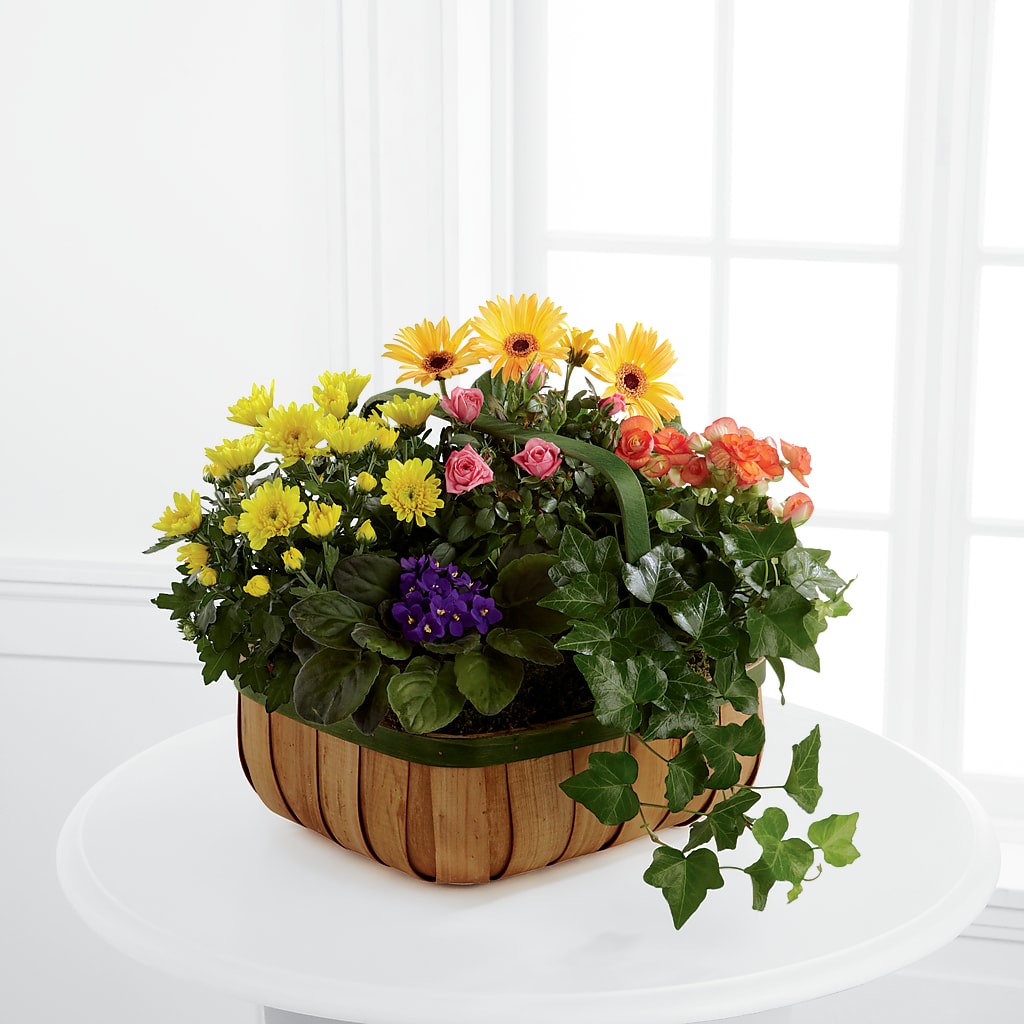 Gentle Blossoms Basket – Emotional Bonding, Niles IL