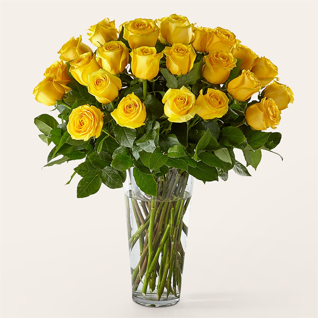 Long Stem Yellow Rose Bouquet – Emotional Bonding, Niles IL
