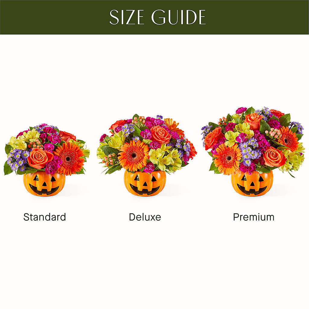 Tricks & Treats Pumpkin – Emotional Bonding, Niles IL