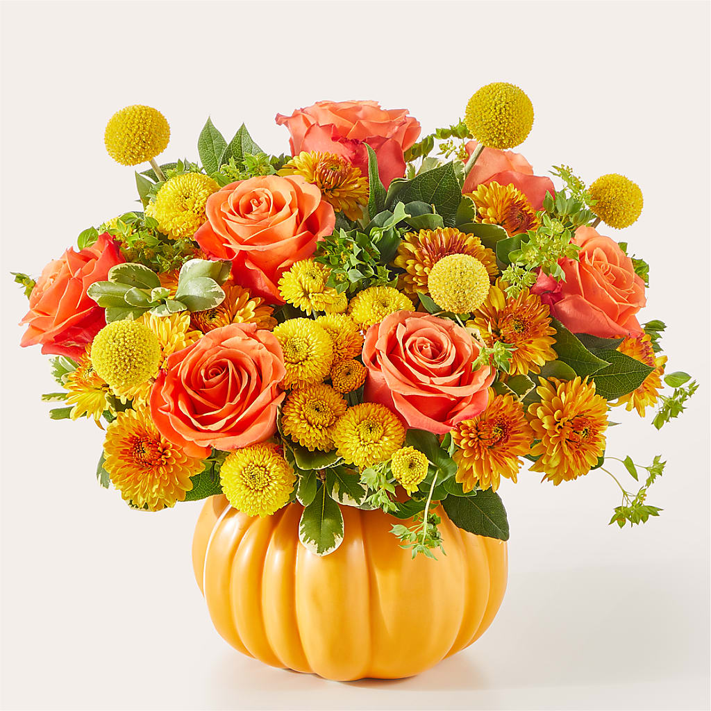 Gourdgeous Pumpkin – Emotional Bonding, Niles IL