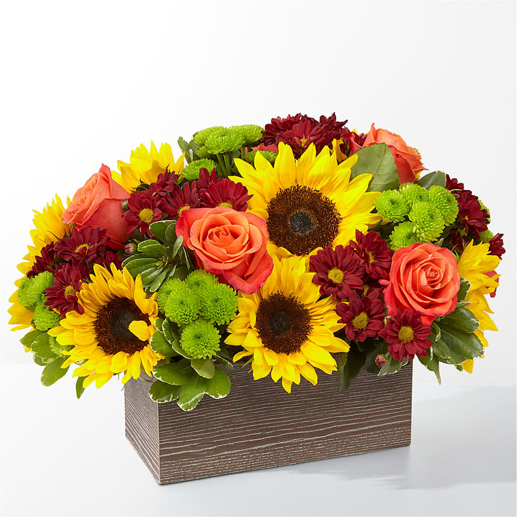 Happy Harvest Garden – Emotional Bonding, Niles IL