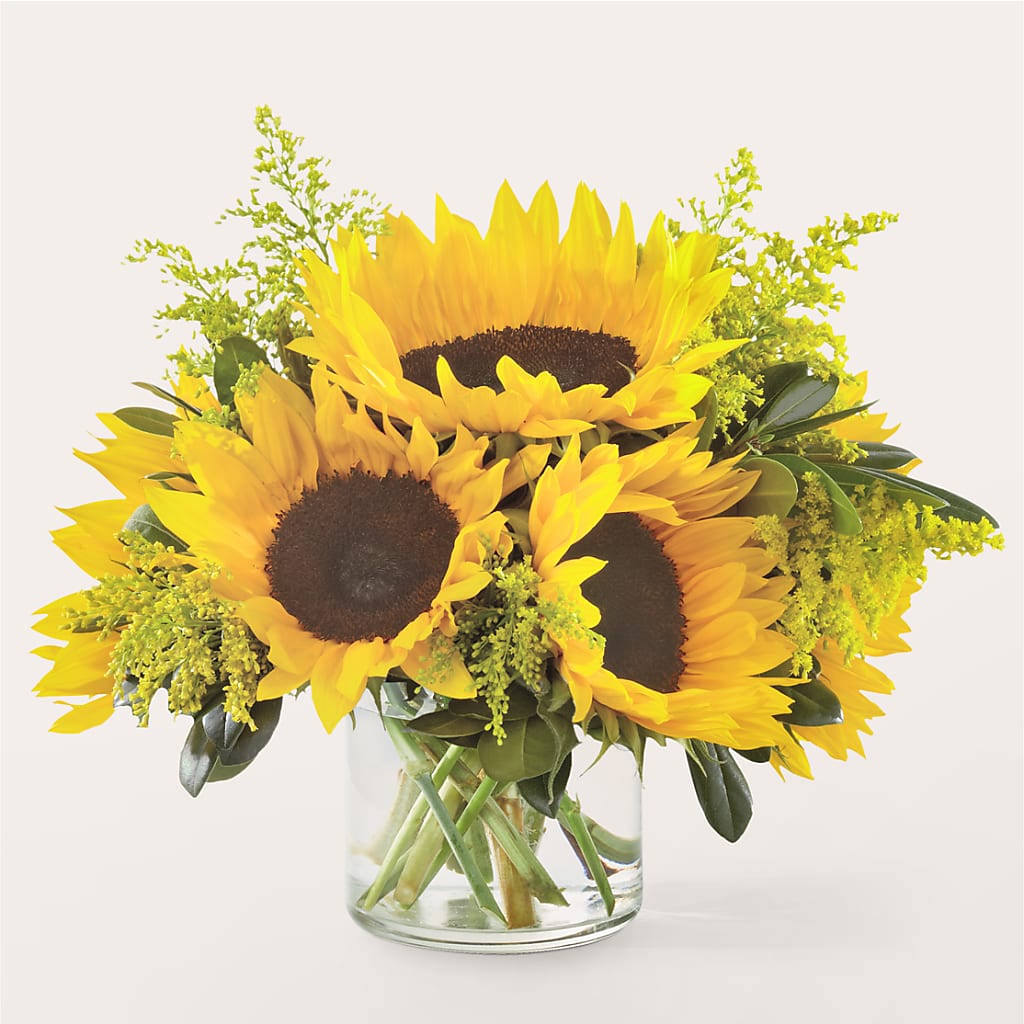 Beaming Sunflower Bouquet – Emotional Bonding, Niles IL