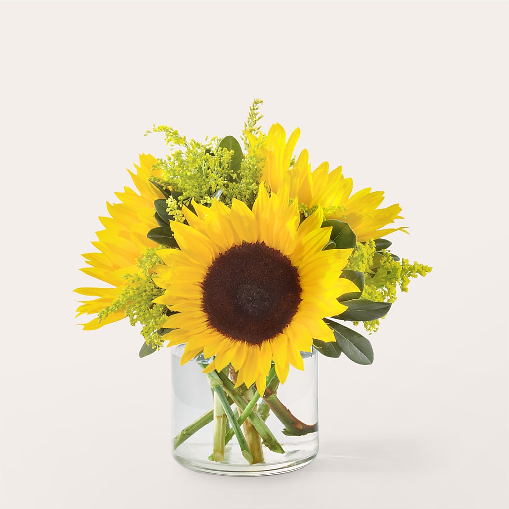 Beaming Sunflower Bouquet – Emotional Bonding, Niles IL