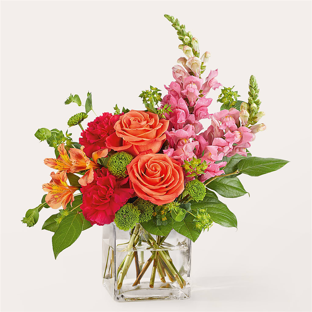 Cosmopolitan Bouquet – Emotional Bonding, Niles IL