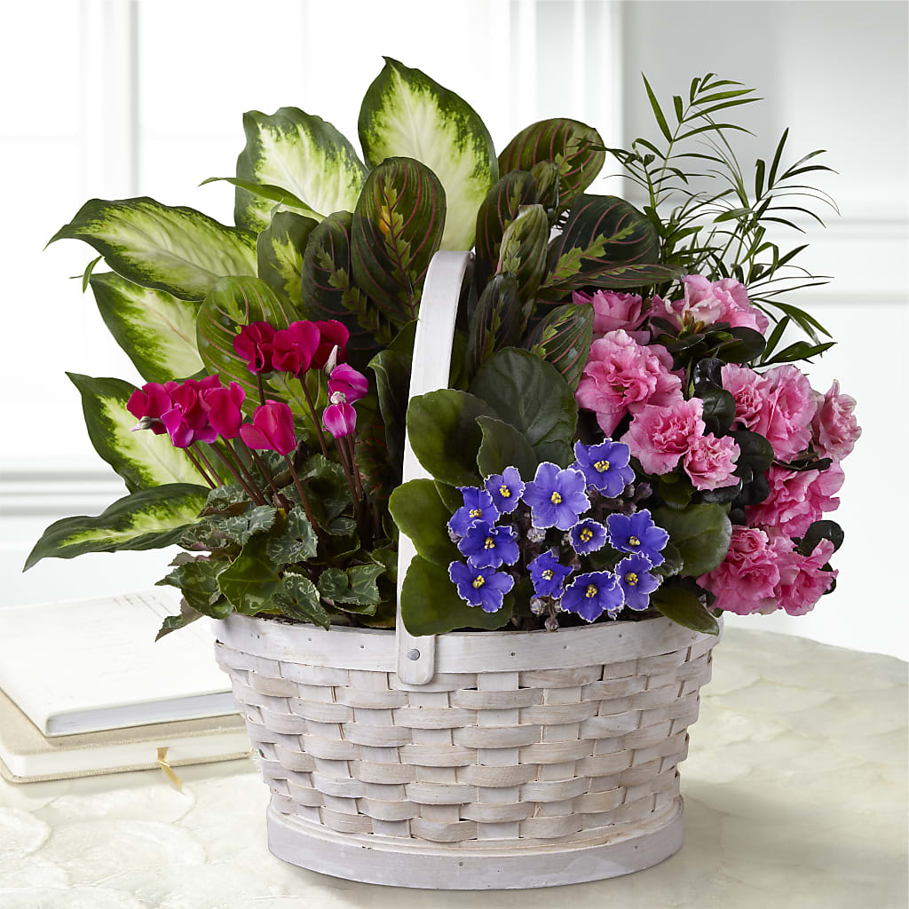 Peaceful Garden Planter – Emotional Bonding, Niles IL