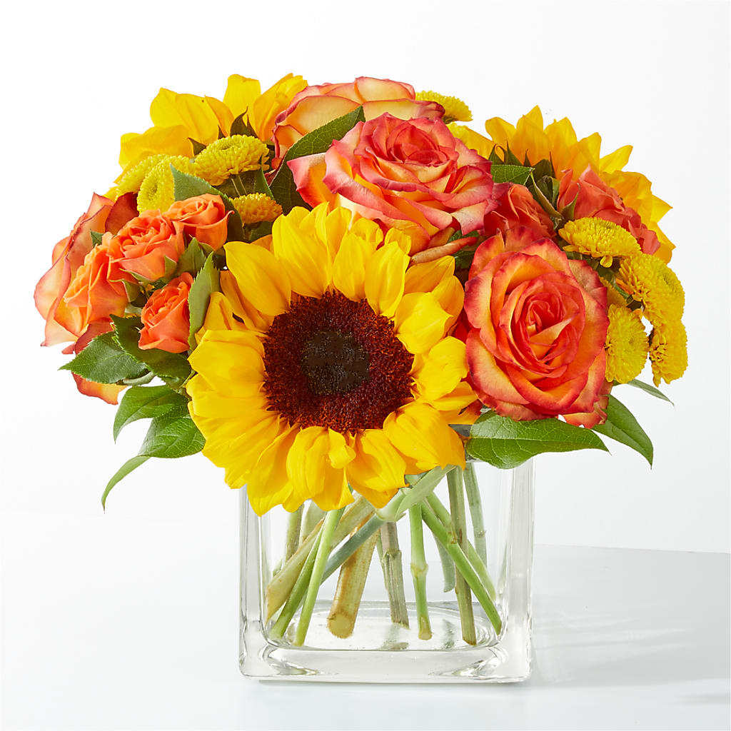 Picnic in the Park Bouquet – Emotional Bonding, Niles IL