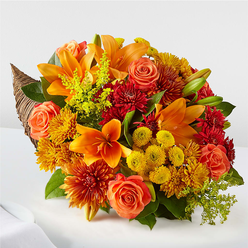 Feast of Color Cornucopia – Emotional Bonding, Niles IL
