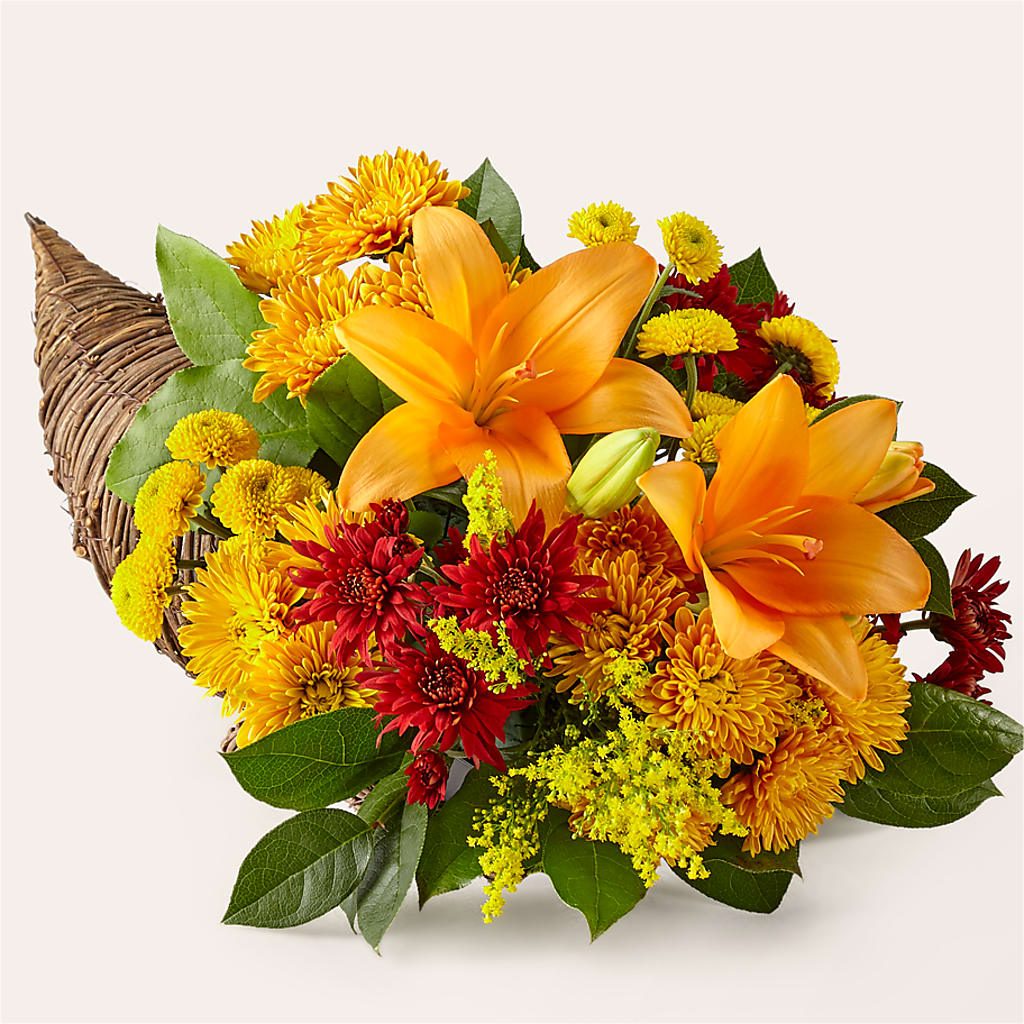 Feast of Color Cornucopia – Emotional Bonding, Niles IL