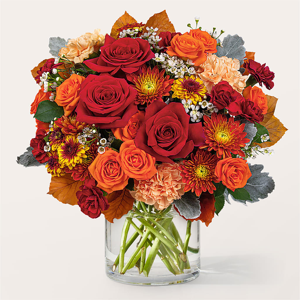 Merlot Bouquet – Emotional Bonding, Niles IL