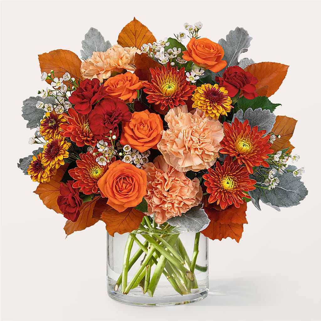 Merlot Bouquet – Emotional Bonding, Niles IL