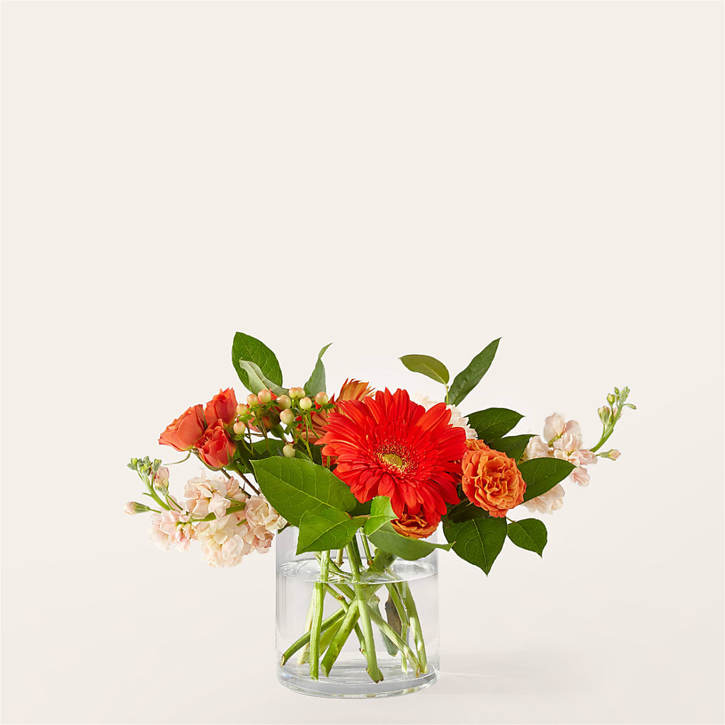 Paloma Please Bouquet – Emotional Bonding, Niles IL