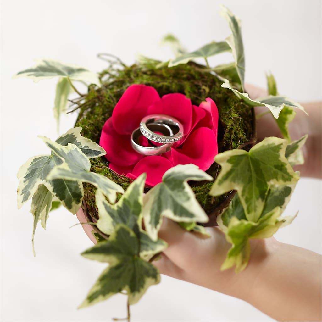 Lila Rose Ring Nest – Emotional Bonding, Niles IL