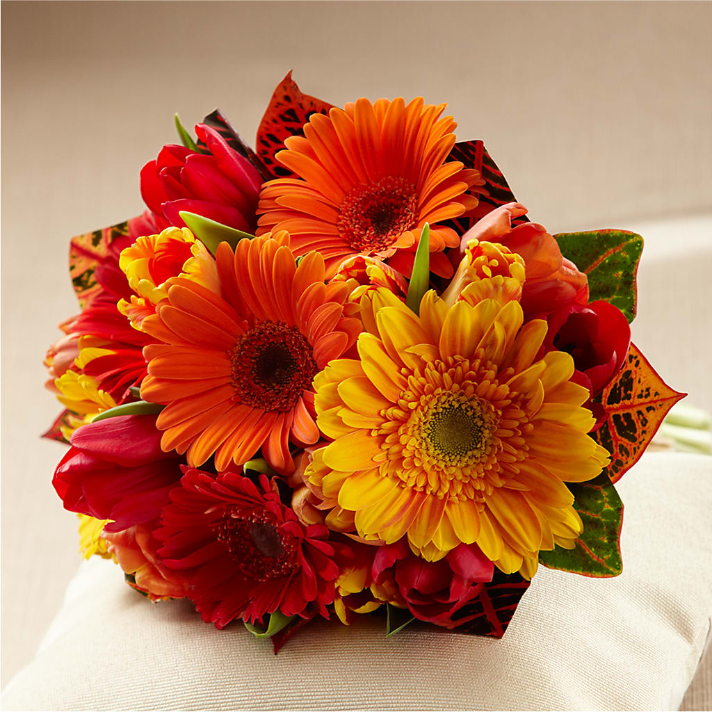 Sunglow Bouquet – Emotional Bonding, Niles IL