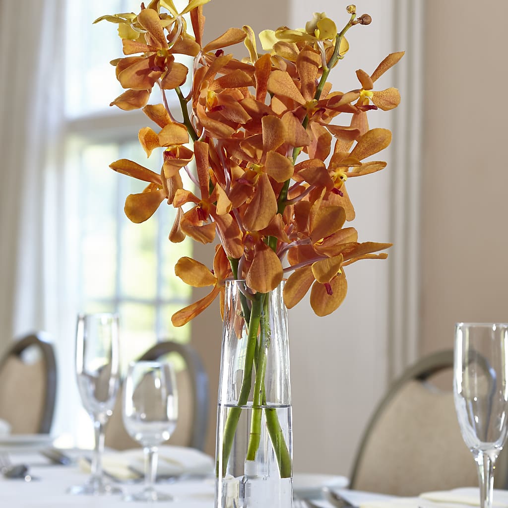 Orange Mokara Bud Vase – Emotional Bonding, Niles IL