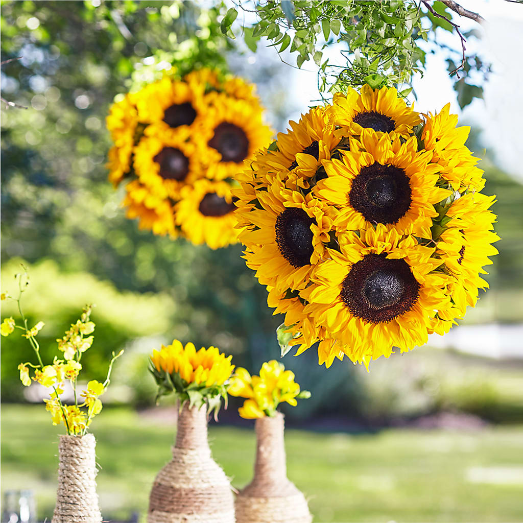 Sublime Garden Hanging Arrangement – Emotional Bonding, Niles IL