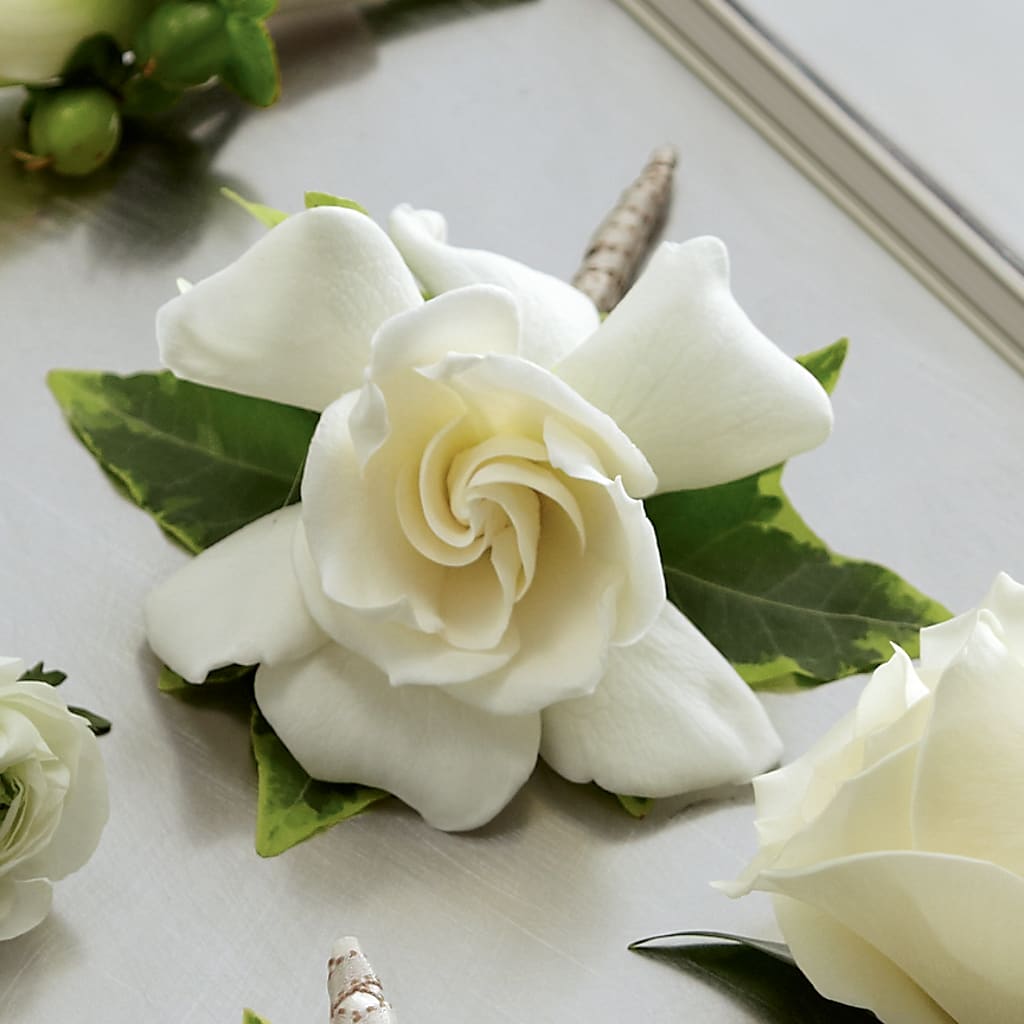 Gardenia Boutonniere – Emotional Bonding, Niles IL