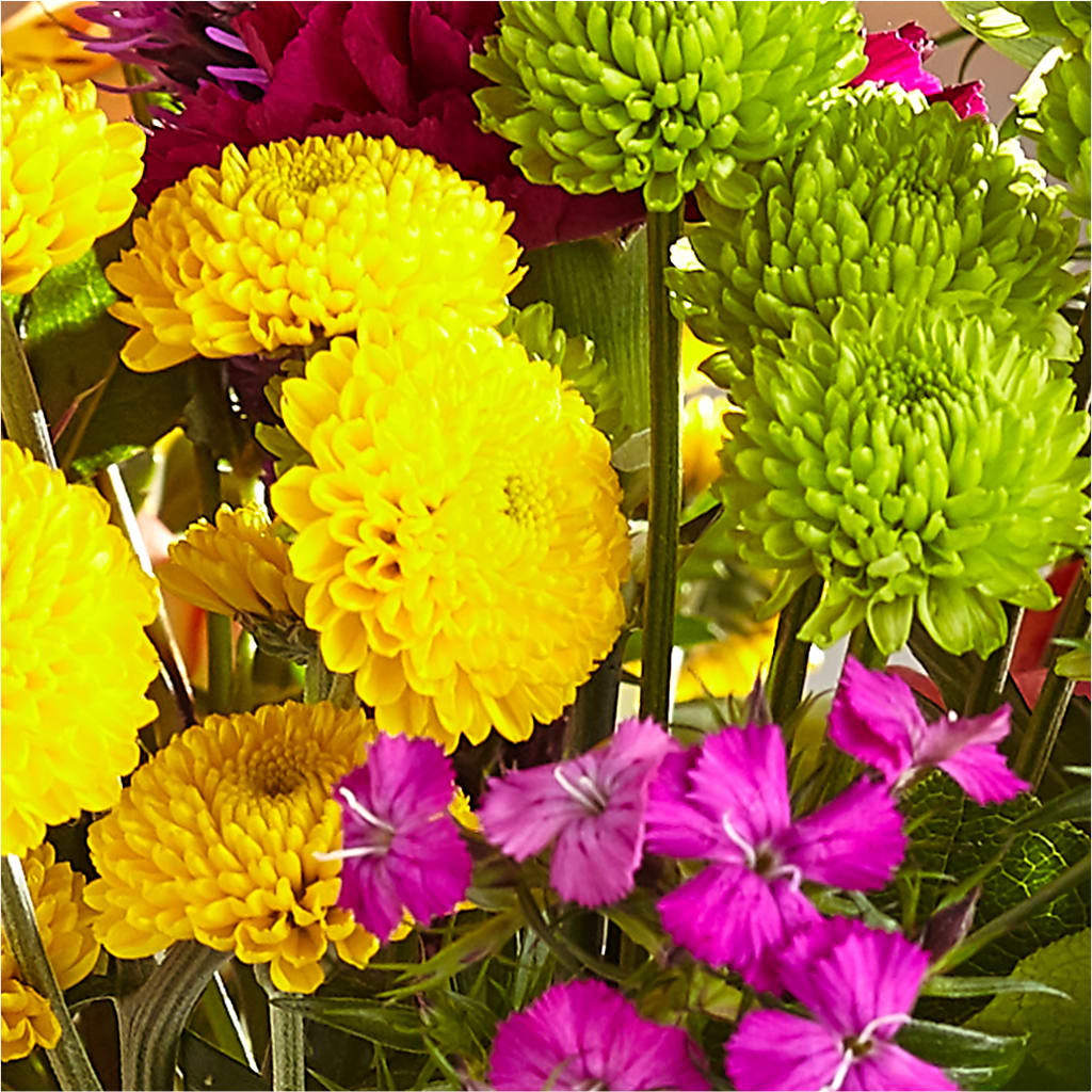 Bold & Bright – A Florist Original –  Emotional Bonding, Niles IL