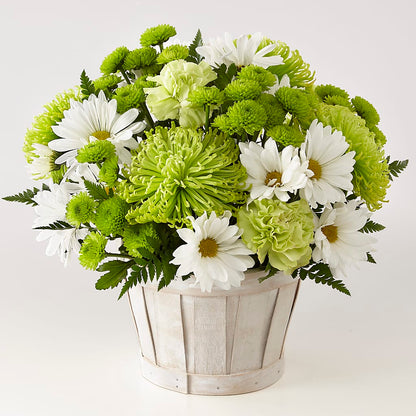 Lucky Charm Basket (Standard) –  Emotional Bonding, Niles IL