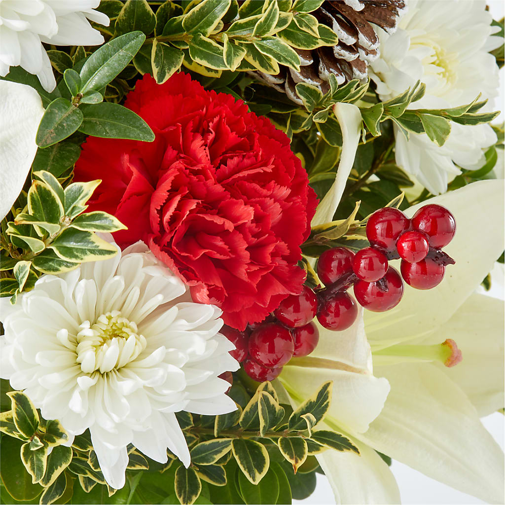 Festive Moments Tree –  Emotional Bonding, Niles IL