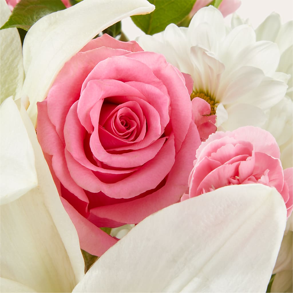 Whispers of Comfort Bouquet –  Emotional Bonding, Niles IL