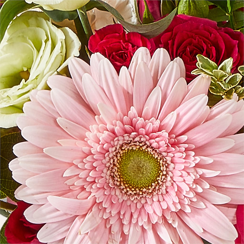 Too Cute Bouquet –  Emotional Bonding, Niles IL