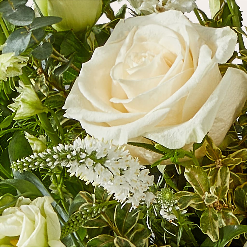 Cashmere Bouquet –  Emotional Bonding, Niles IL