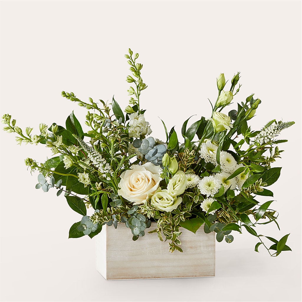 Cashmere Bouquet –  Emotional Bonding, Niles IL