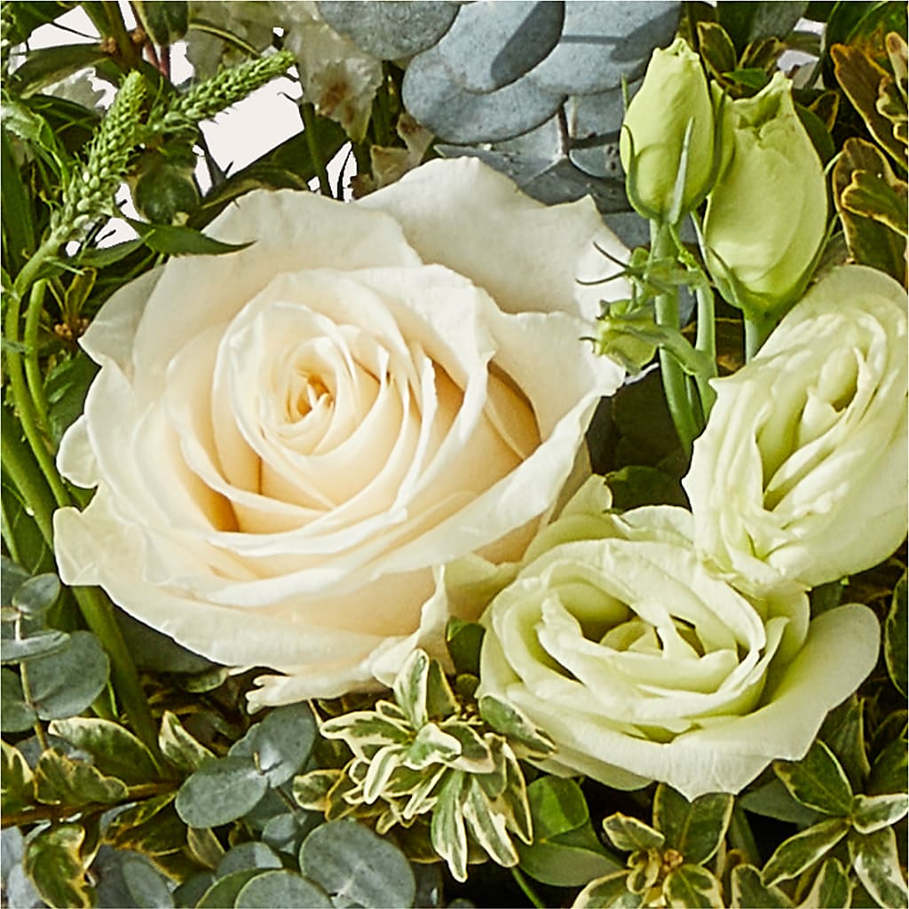 Cashmere Bouquet –  Emotional Bonding, Niles IL
