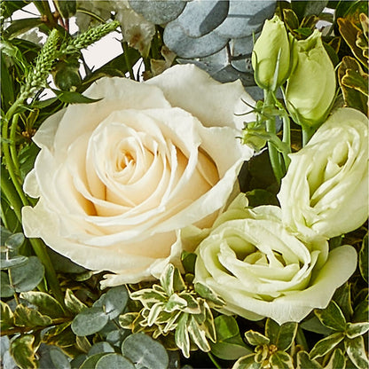 Cashmere Bouquet –  Emotional Bonding, Niles IL