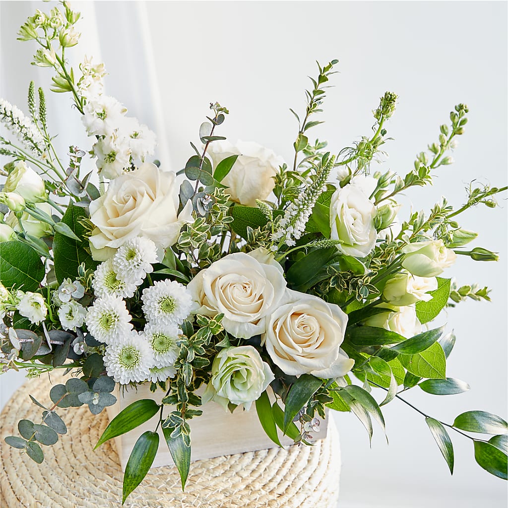 Cashmere Bouquet –  Emotional Bonding, Niles IL