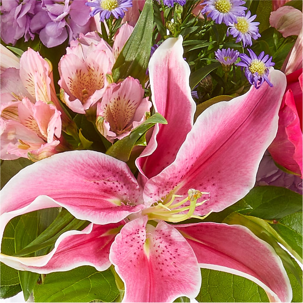 Written in the Stars Bouquet –  Emotional Bonding, Niles IL