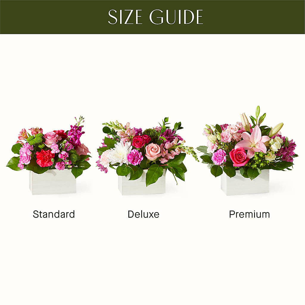 Sweetberry Box – A Florist Original –  Emotional Bonding, Niles IL