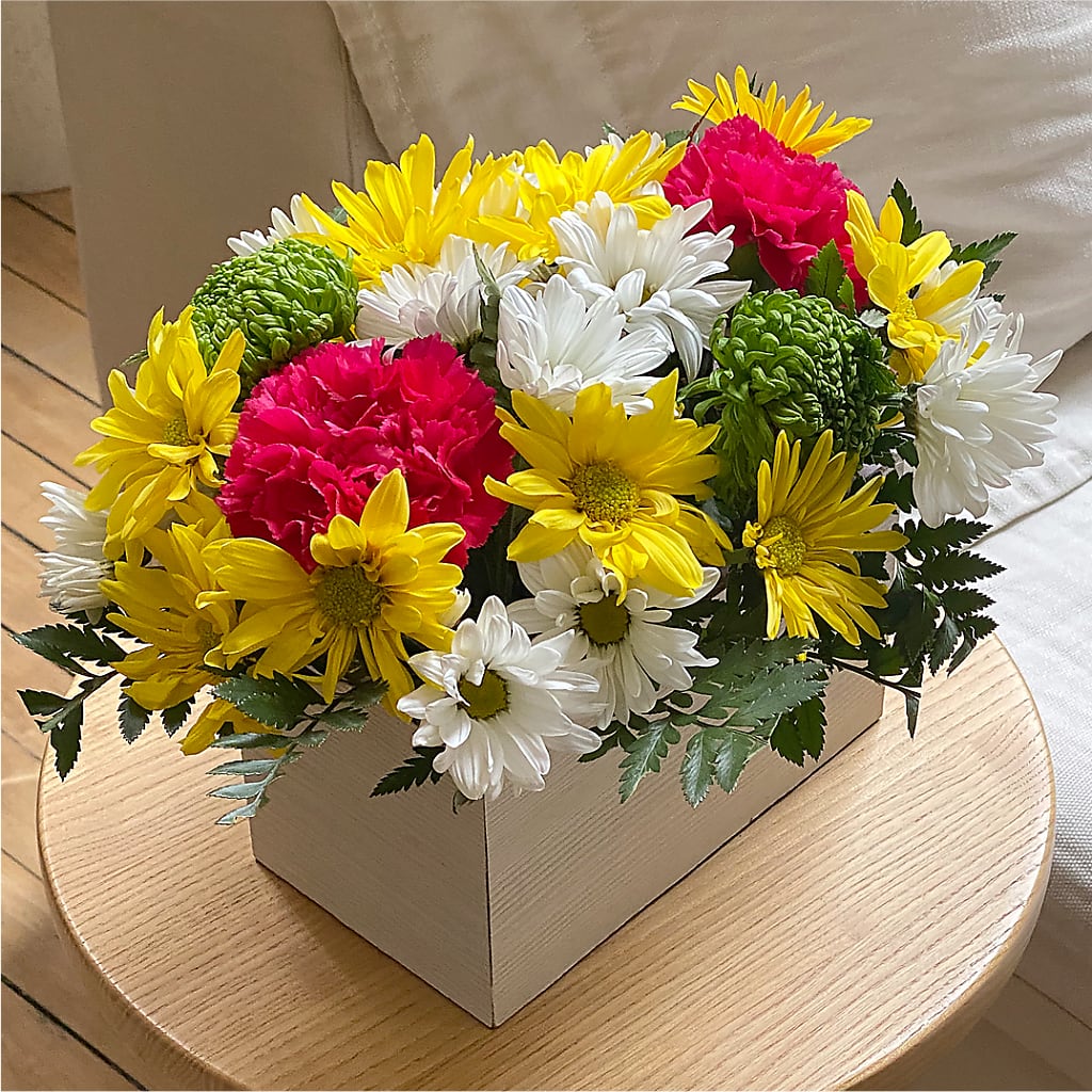 Sorbet Bouquet –  Emotional Bonding, Niles IL