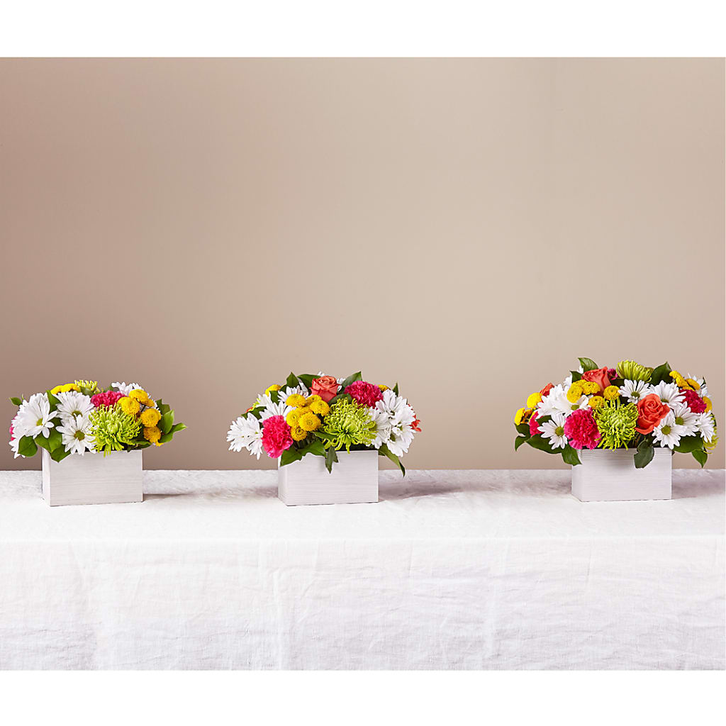 Sorbet Bouquet –  Emotional Bonding, Niles IL