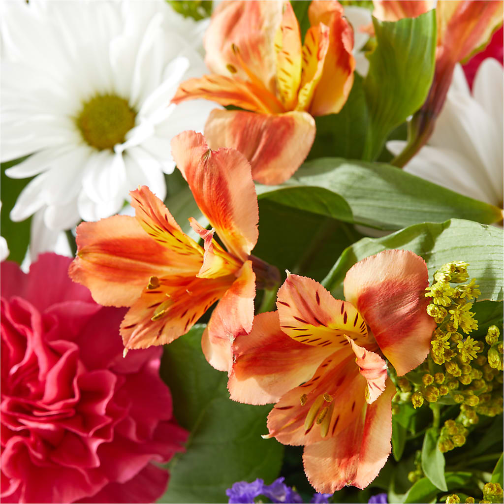 Oopsie Daisy Box Bouquet –  Emotional Bonding, Niles IL