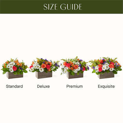 Oopsie Daisy Box Bouquet –  Emotional Bonding, Niles IL