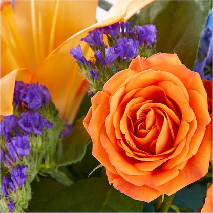 Radiant Citrus Box Bouquet –  Emotional Bonding, Niles IL