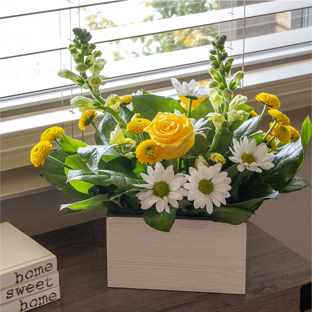 Sun Salutation Box Bouquet –  Emotional Bonding, Niles IL