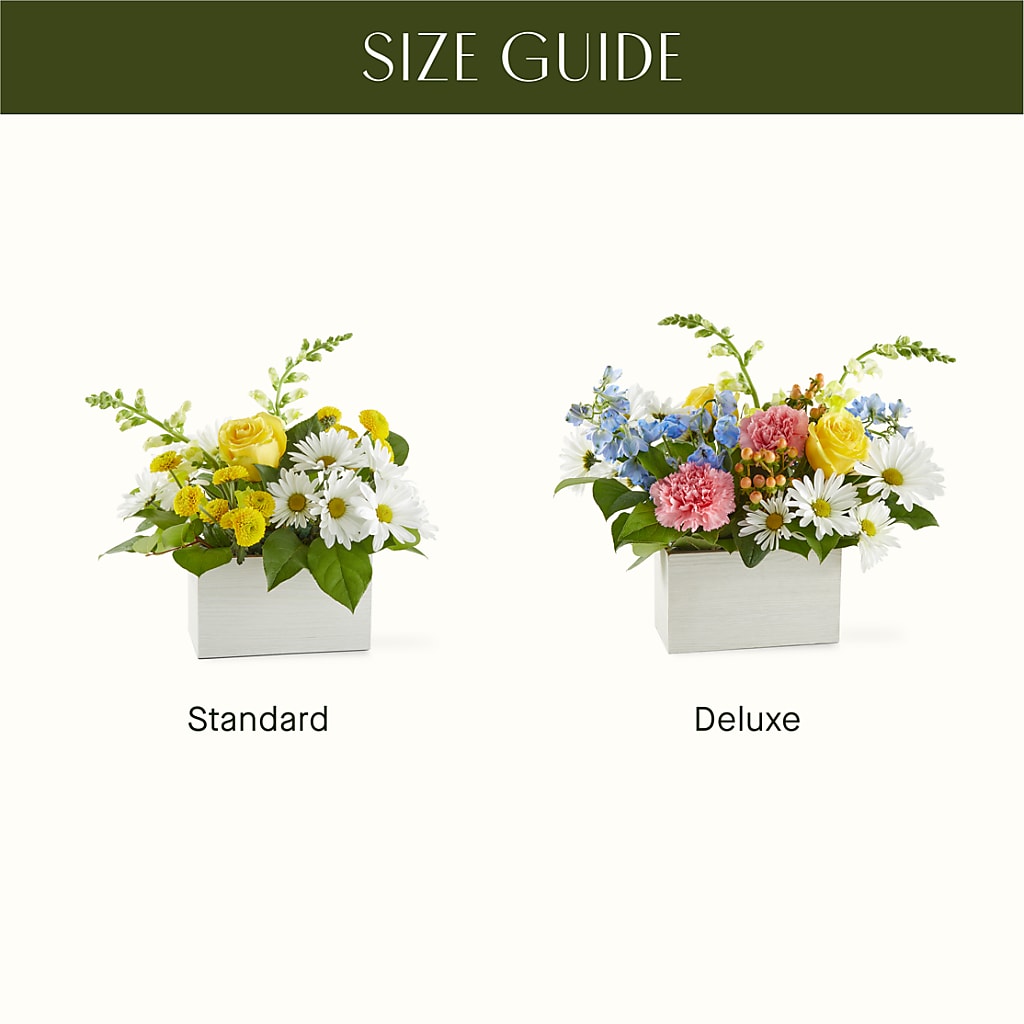 Sun Salutation Box Bouquet –  Emotional Bonding, Niles IL