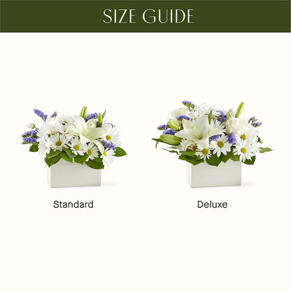 Beyond Blue Box Bouquet –  Emotional Bonding, Niles IL