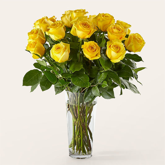 Long Stem Yellow Rose Bouquet –  Emotional Bonding, Niles IL