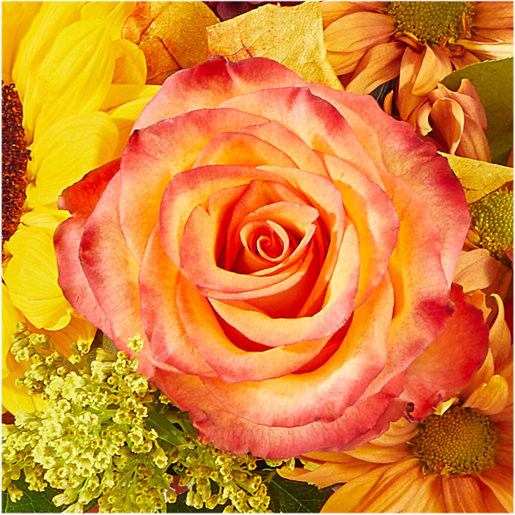 The Outdoors Bouquet –  Emotional Bonding, Niles IL