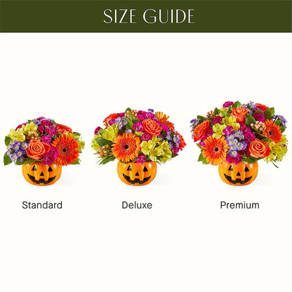 Tricks & Treats Pumpkin –  Emotional Bonding, Niles IL