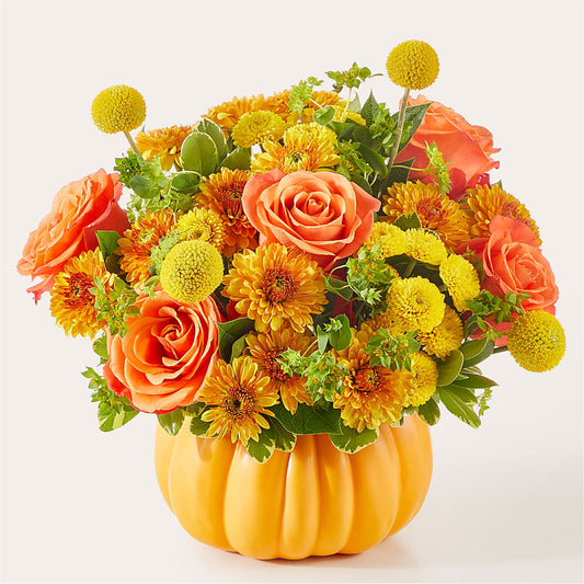 Gourdgeous Pumpkin –  Emotional Bonding, Niles IL