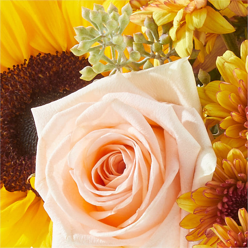 Pumpkin to Talk About Bouquet –  Emotional Bonding, Niles IL