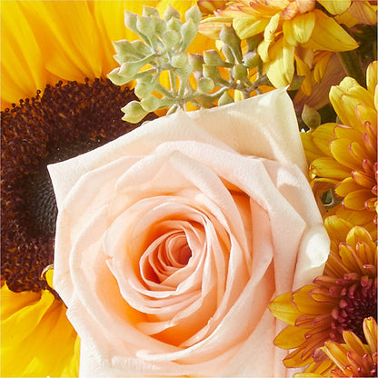 Pumpkin to Talk About Bouquet –  Emotional Bonding, Niles IL