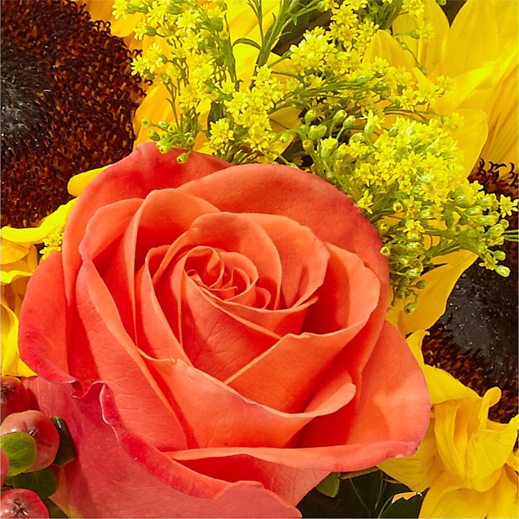 Pick of the Patch Pumpkin Bouquet –  Emotional Bonding, Niles IL