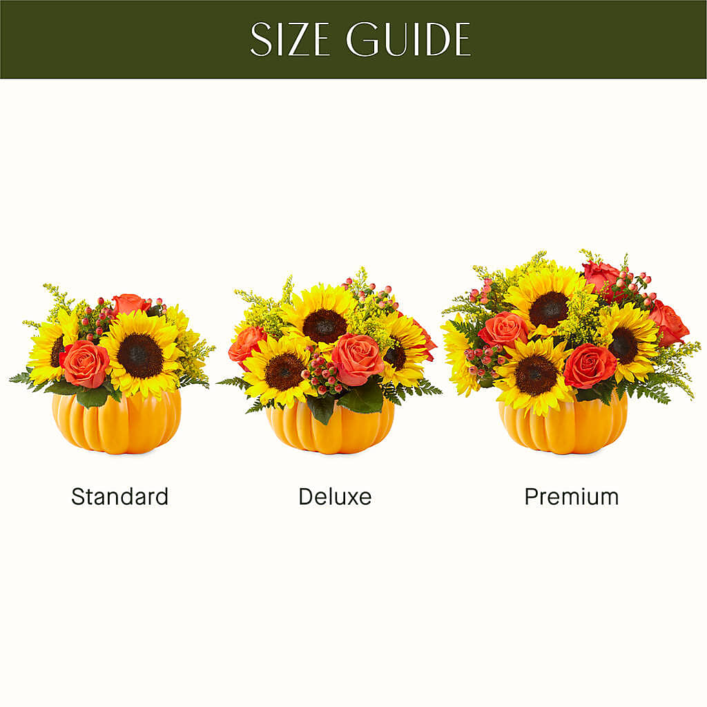 Pick of the Patch Pumpkin Bouquet –  Emotional Bonding, Niles IL